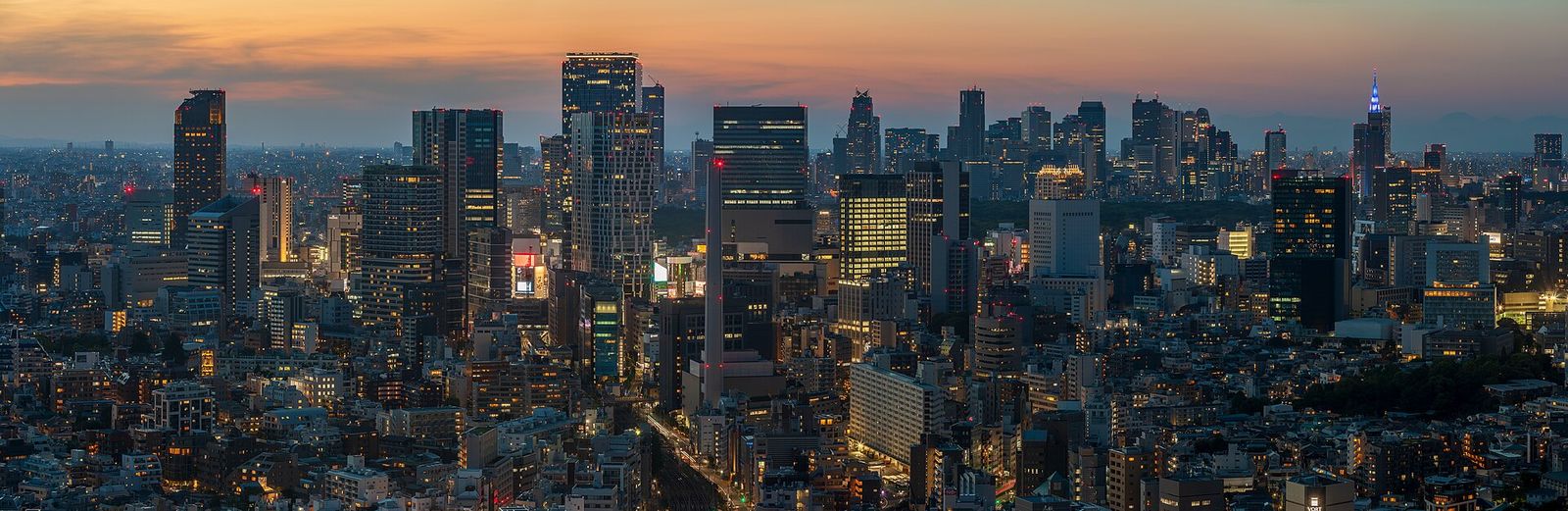The Shinjuku skyline in Tokyo at dusk