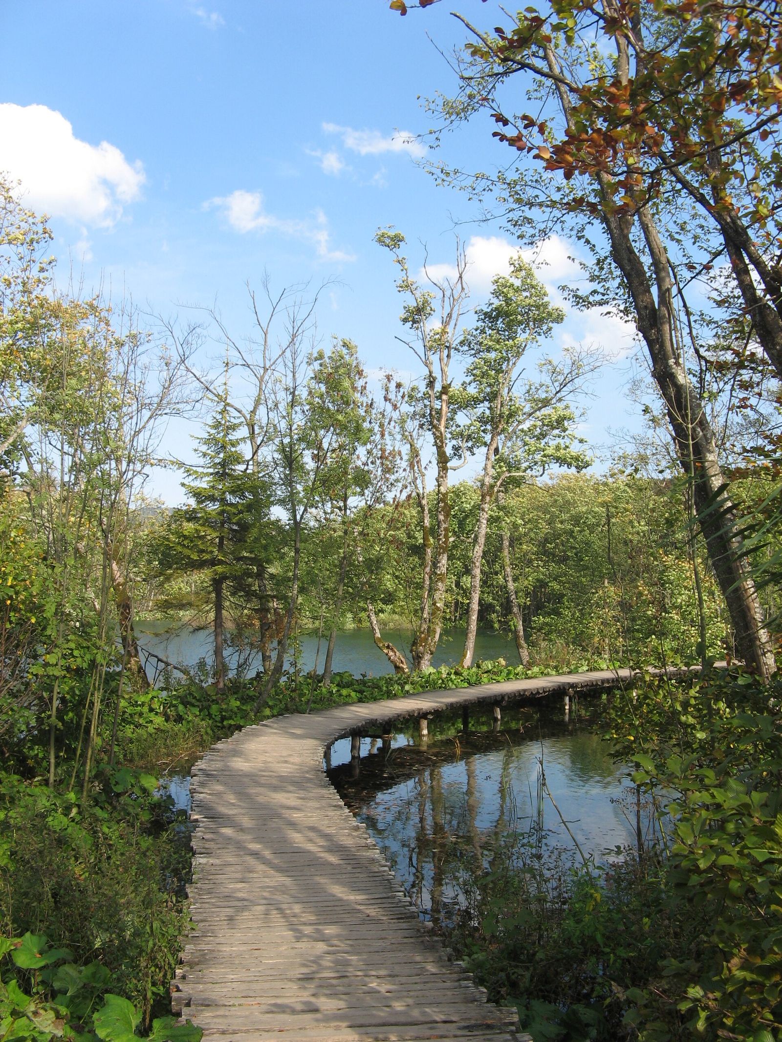 Terraced lakes and waterfalls at Plitvice Lakes National Park