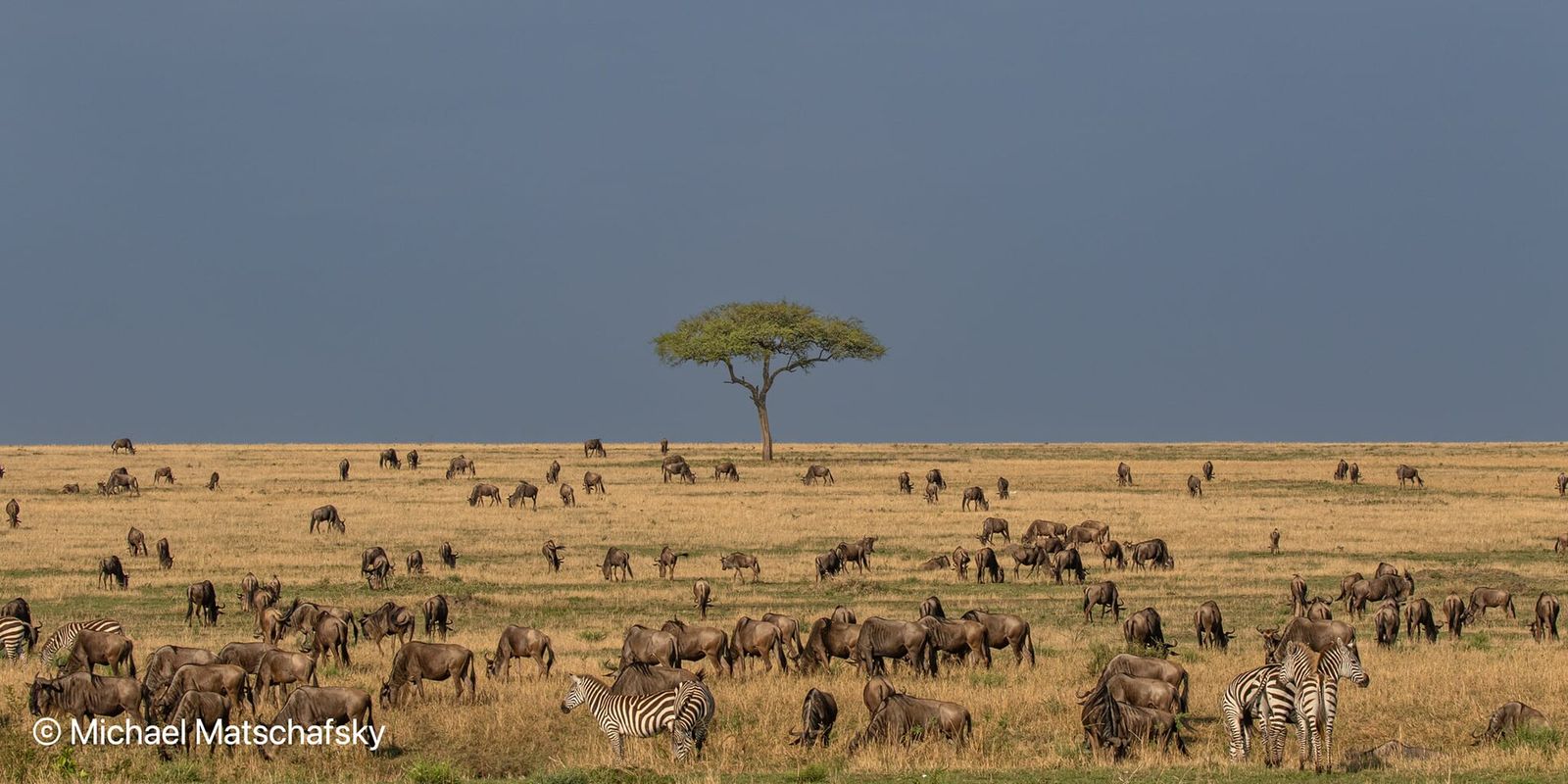 Travel photograph illustrating Travel Documents, Visas And Passport Requirements Explained